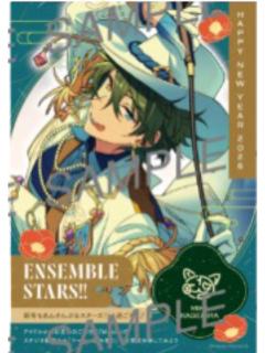 影片美伽打印相卡-2026年贺状