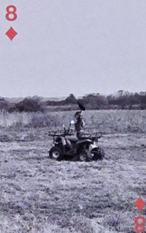 26台历扑克牌 方块8