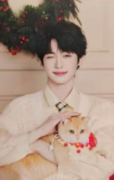 网易严选代言小卡 ver.D