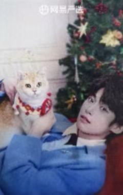 网易严选代言光栅卡