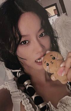 26台历娃卡 ver.E