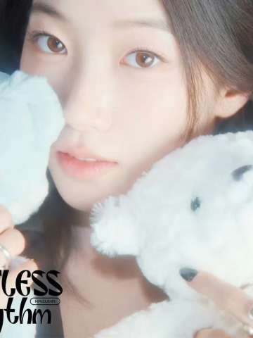 d社单封 叶 ver.A