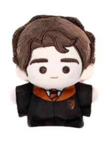 塞德里克·迪戈里