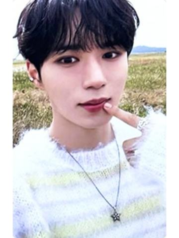 ms幸运卡8 咕~ver.