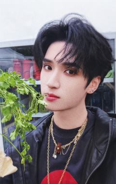 26台历单人款小卡6 ver.D