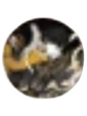 赵公明陶瓷杯垫-仙山琼阁系列第二弹