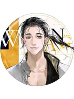 王也A徽章-道系男团系列