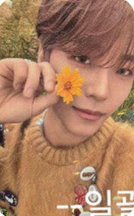 快闪sr版随机卡3 ver.A