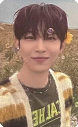 快闪sr版随机卡4 ver.A