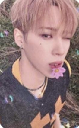 快闪sr版随机卡5 ver.A