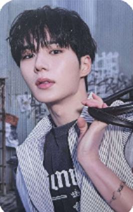 快闪fa版随机卡8 ver.D