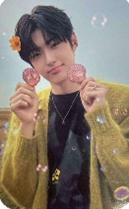 快闪sr版随机卡7 ver.C