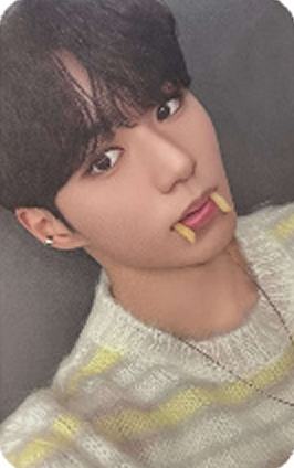 快闪sr版随机卡8 ver.B