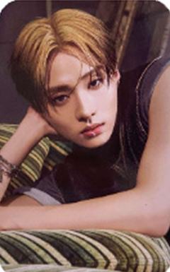 快闪fa版随机卡1 ver.D