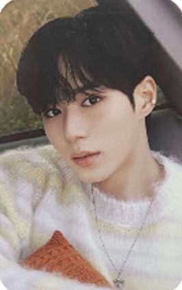 快闪sr版随机卡8 ver.D