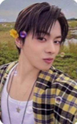 快闪sr版随机卡6 ver.A