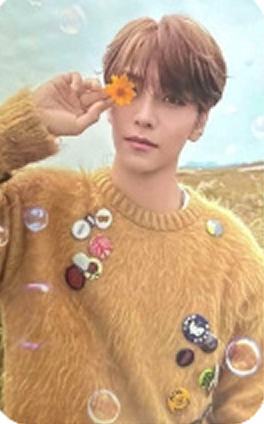 快闪sr版随机卡3 ver.C