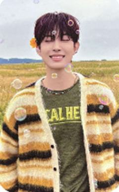 快闪sr版随机卡4 ver.C