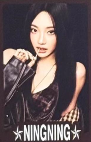 26台历游戏卡官拍 宁ver.A