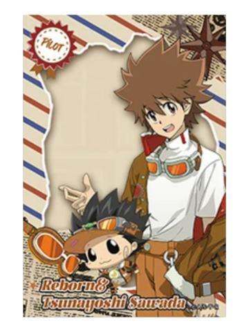 泽田纲吉&里包恩合影卡-匣翼巡航官方主题快闪