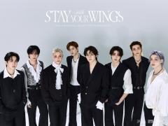 STAY 6th Gen Recruitment