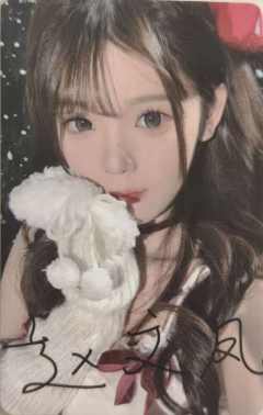 赵文凤 绛雪星愿主题纪念数签