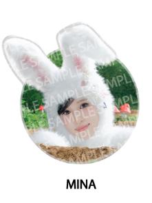 官周手机支架 南