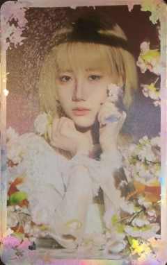 胡丹 26台历闪卡