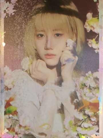 胡丹 26台历闪卡