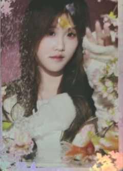 胡思颖 26台历闪卡