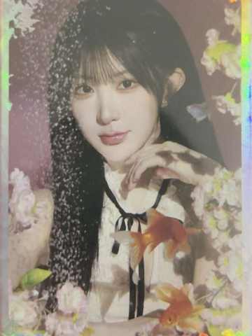 雷宇霄 26台历闪卡