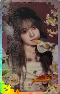 付美善 26台历闪卡