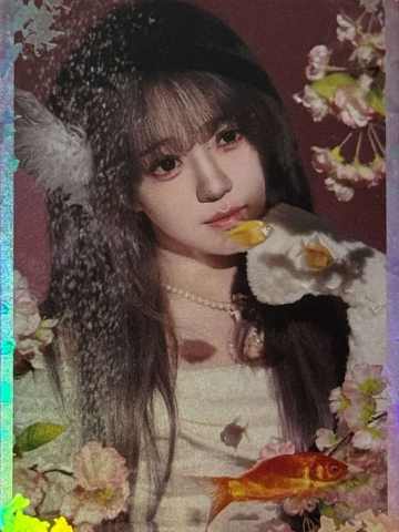 付美善 26台历闪卡