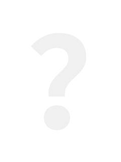 imini北京语音卡 马 H ver.