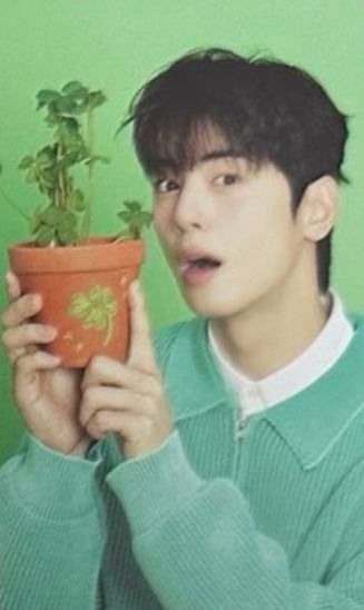 台历随机卡 ver.24