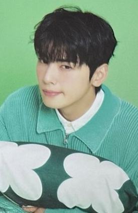 台历随机卡 ver.6