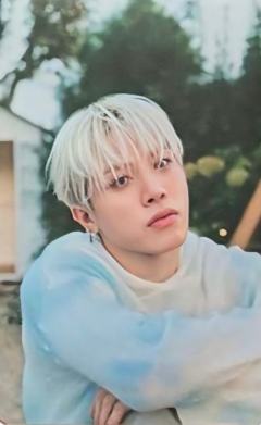 26台历长袖T恤卡 桃