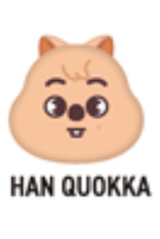 日本展会skzoo戒指5