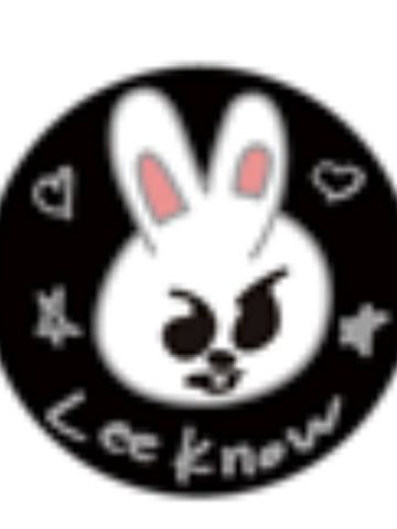 日本展会skzoo吧唧2