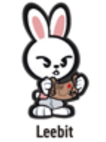 日本展会skzoo刺绣徽章2