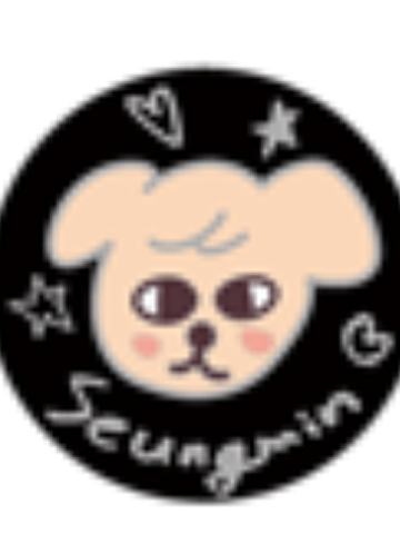 日本展会skzoo吧唧7