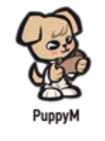 日本展会skzoo刺绣徽章7