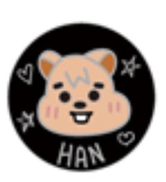 日本展会skzoo吧唧5