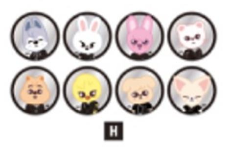 日本展会skzoo吧唧set团 ver.H