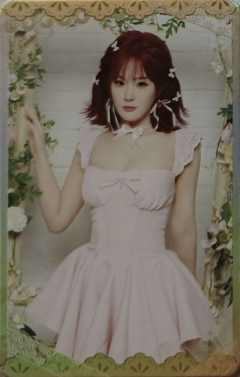 梅思华 26台历闪卡