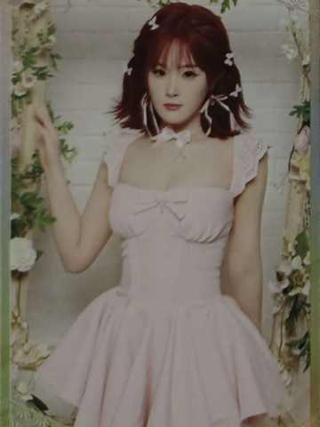 梅思华 26台历闪卡