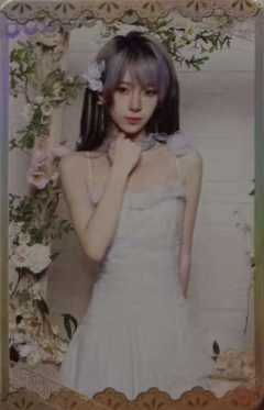 齐灵泉 26台历闪卡