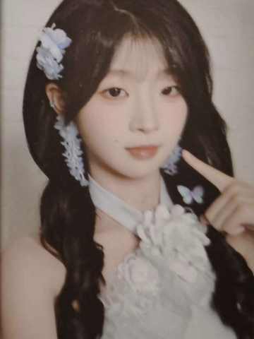 黄蔚 26台历小卡ver.B