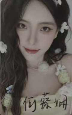 何蔡娴 26台历数签