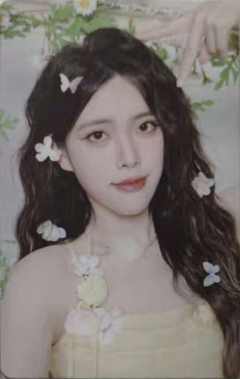 何蔡娴 26台历小卡ver.A